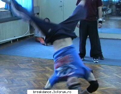 dynamic crew craiova boxy