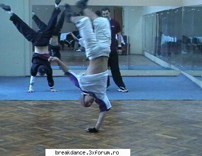 dynamic crew craiova fratele boxy yoko